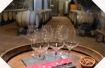 Immersive tastings in Beaujolais accord Wines and Chocolates