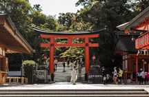 Kobe Shore Excursion to Kyoto: Private Tour with Local Guide