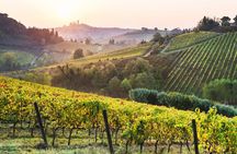 From Livorno San Gimignano Volterra and Wine Tasting