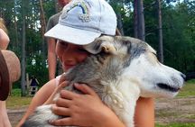 Husky Trekking in Natural Park near Vilnius