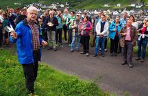 Mosel Organic Wine Tasting and Cellar Tour in Reil