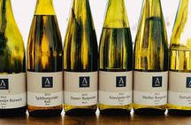 Mosel Organic Wine Tasting and Cellar Tour in Reil