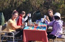 Lemosho Route Private Hiking Tour