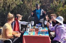 Lemosho Route Private Hiking Tour