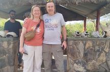 Three days two nights Masai Mara with pickup