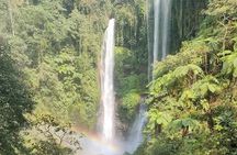 Sekumpul Waterfall Tour