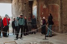Pompeii and Mount Vesuvius Small Group Tour from Naples