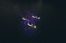 Austin Bat City Glow Paddle Board Experience