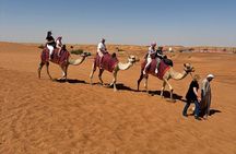 Dubai Desert Discovery:Red Dunes Safari, Sandboard and Camel Ride