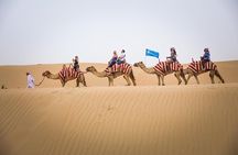 Dubai Desert Discovery:Red Dunes Safari, Sandboard and Camel Ride