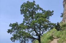 Path of the Gods: Guided Trekking on the Amalfi Coast