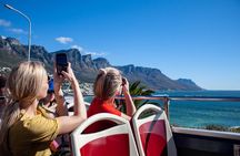 Cape Town Hop On Hop Off Bus and Seal Island Cruise Adventure