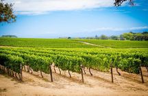 Cape Town Hop- On Hop -Off Tour and Groot Constantia Wine Tasting