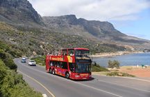 Cape Town Hop On Hop Off Bus and Seal Island Cruise Adventure