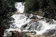 Da Lat's City Tour On Private Car