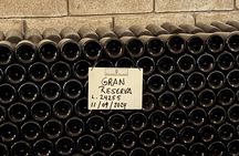 Mendoza Private Wine Tour Paired Lunch and Olive Oil Tasting