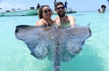 ANTIGUA FROM TOP TO BOTTOM: Stingray City, Beach, lunch & more...