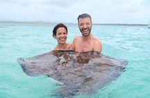 ANTIGUA FROM TOP TO BOTTOM: Stingray City, Beach, lunch & more...