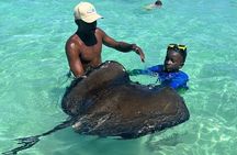 ANTIGUA FROM TOP TO BOTTOM: Stingray City, Beach, lunch & more...