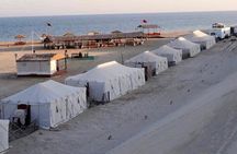 Doha: Full-Day Desert safari With BBQ Dinner and Camp Activities 