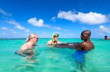 Stingray City Experience Antigua - Cruise Ship Passengers Edition