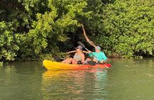 Mangrove River Kayak Tour Samara and Carrillo