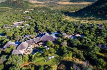 2 Day Pilanesberg Safari at Ivory Tree Game Lodge