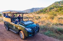 2 Day Pilanesberg Safari at Ivory Tree Game Lodge