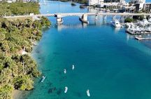 Jupiter Island Guided Paddle Boarding Tour