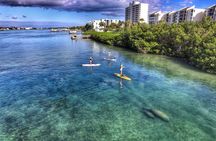 Jupiter Island Guided Paddle Boarding Tour