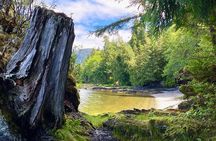 3-Hour Rainforest, Beach & Wildlife Walk