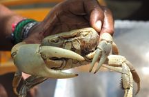 Guadeloupe: Its Craftspeople, Delicacies and Farmers' Market