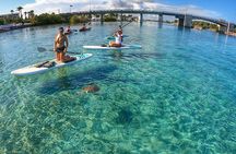 Jupiter Island Guided Paddle Boarding Tour