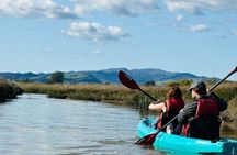 Water To Vine! Kayak Tour Explores Luxury of Nature @ Napa Valley