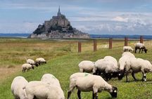 2 hour guided tour of Mont Saint Michel, abbey ticket included