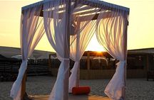 Doha: Full-Day Desert Safari With Lunch or BBQ Dinner at Camp