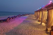 Doha: Full-Day Desert Safari With Lunch or BBQ Dinner at Camp