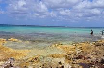 Tastes of Mexico Traditional Food Culture and Beach in Cozumel