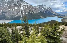 Can/Banff :Columbia Icefield, Crowfoot Glacier and Bow Lake, Tour