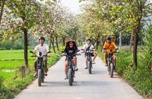 Ninh Binh E-Bike Tour - Ninh Binh's Highlights