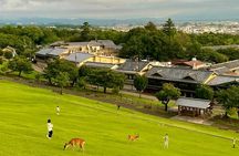 Kyoto Uji Bridge Car Private Tour Adventure