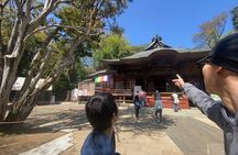 Jindaiji Traditional Temple Purification Tour with Local Soba