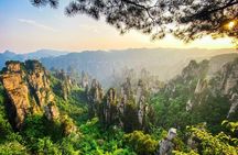 Private 1 Day Tour Zhangjiajie National Forest Park