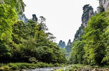Private 1 Day Tour Zhangjiajie National Forest Park