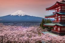 Day Trip To Mount Fuji and Hakone from Tokyo with English Guide 