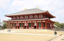  Nara English Guided Walking Tour (All Entrance Fee Included)