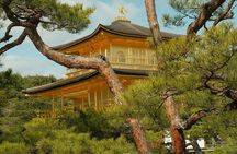 Kyoto Private Car Sightseeing Tours 10hr