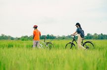 Half Day Countryside Cycling in Sukhothai 