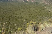 Mt. Longonot Hiking Day tour From Nairobi