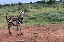 Private Full Day Tour to Amboseli from Nairobi